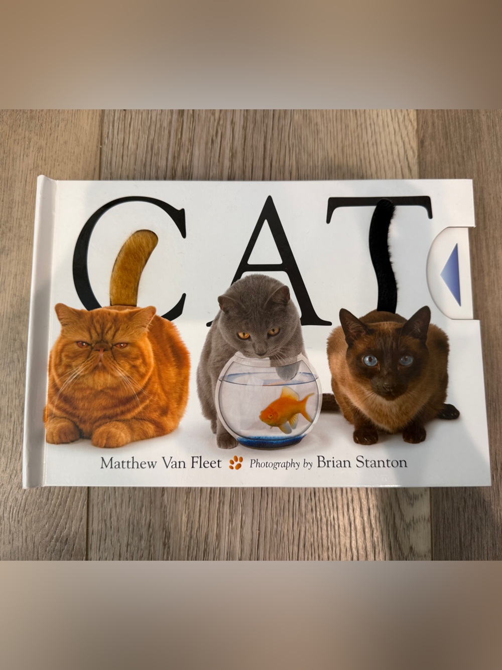 CAT Hardcover Board Book - Matthew Van Fleet : BRAND NEW